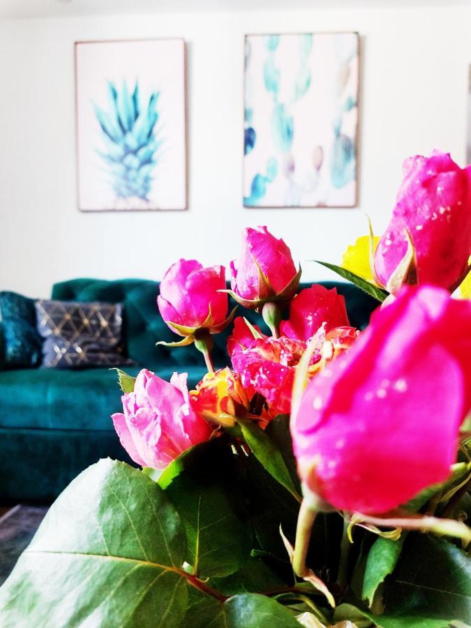 Apartman Dm SJJ Eksteriør billede